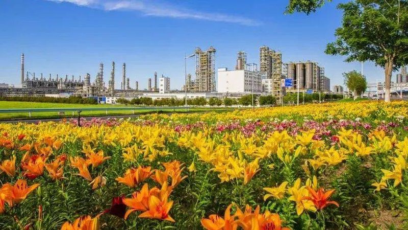复合材料防水膜型号参数解析：性能与选型的关键因素