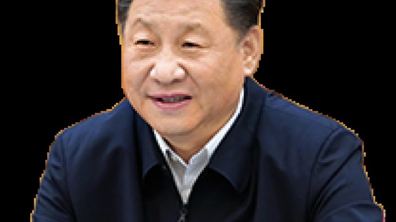 建筑用高分子材料：种类与特性解析**
